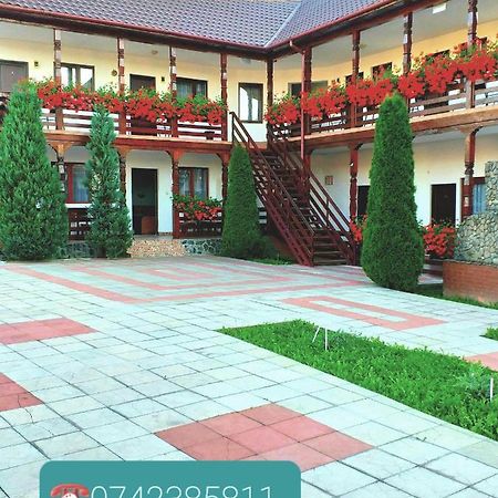 Hotel Cris & Mona Săpînţa Exterior foto
