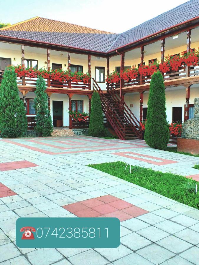 Hotel Cris & Mona Săpînţa Exterior foto