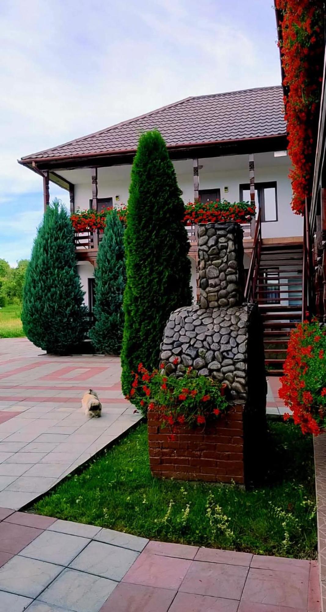 Hotel Cris & Mona Săpînţa Exterior foto
