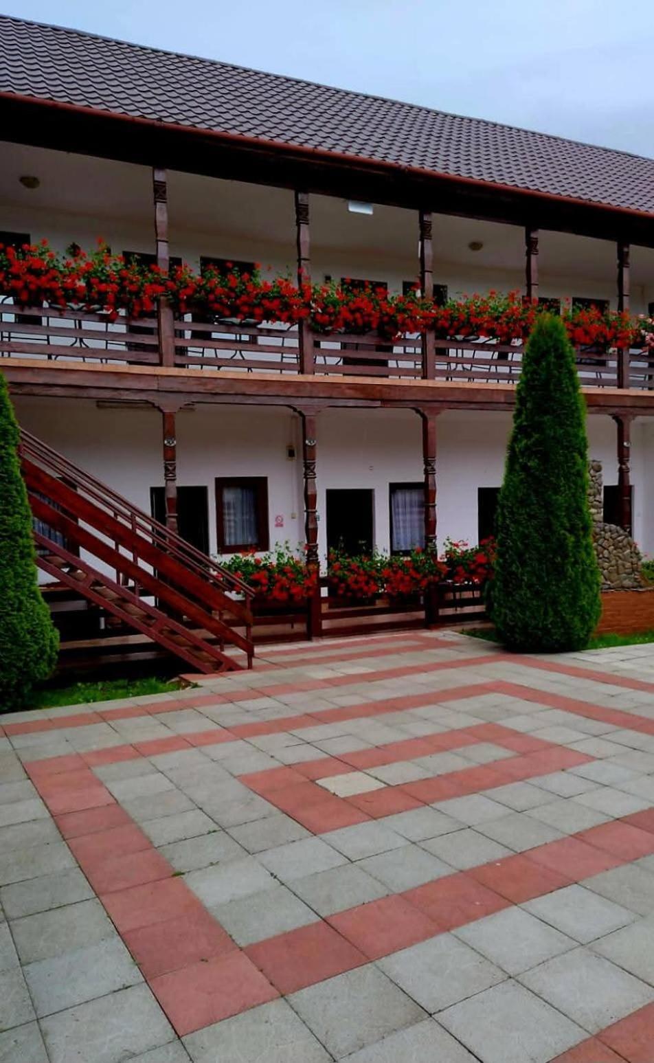Hotel Cris & Mona Săpînţa Exterior foto
